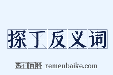 探丁反义词是什么意思的图片